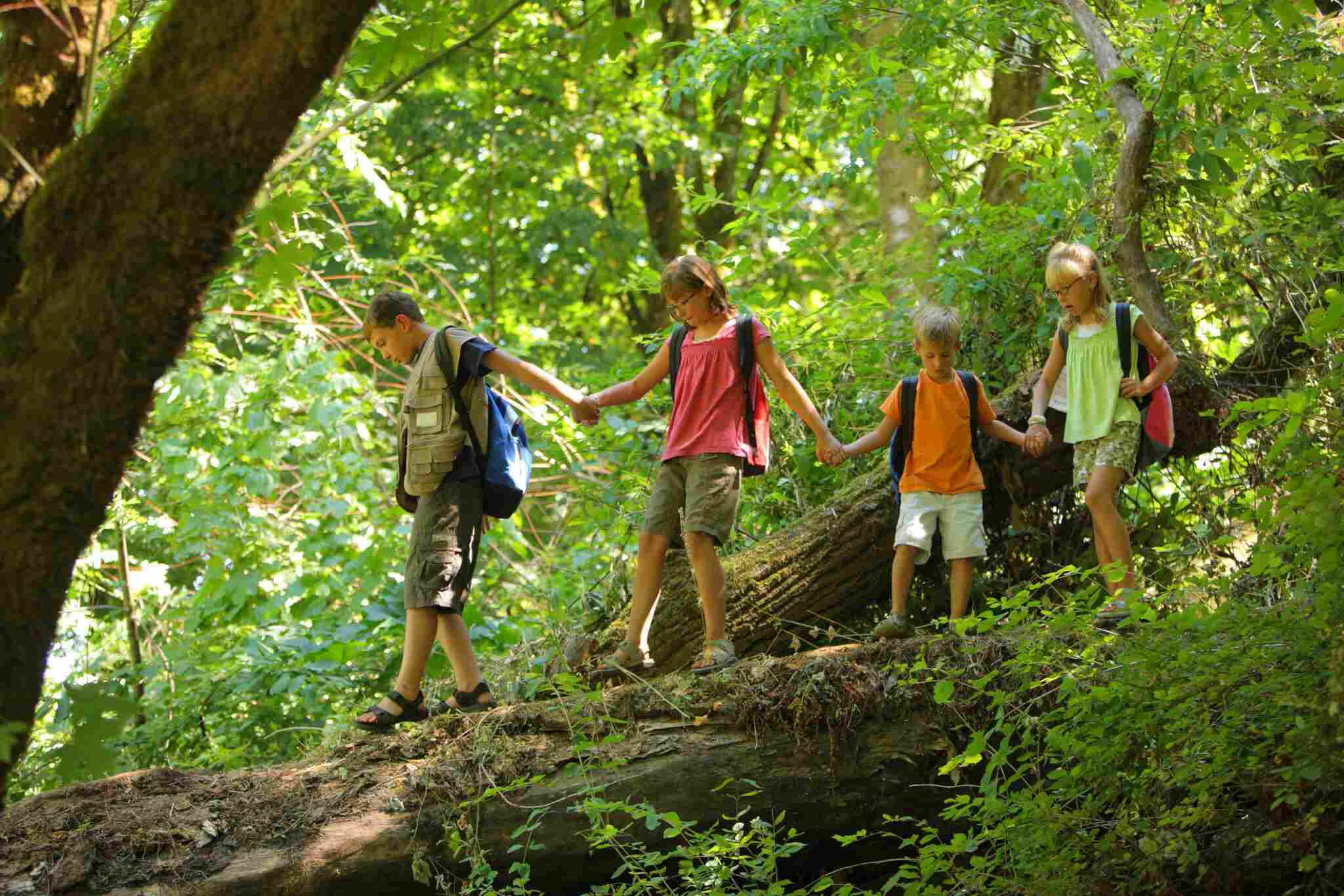 11 ideas for nature exploration