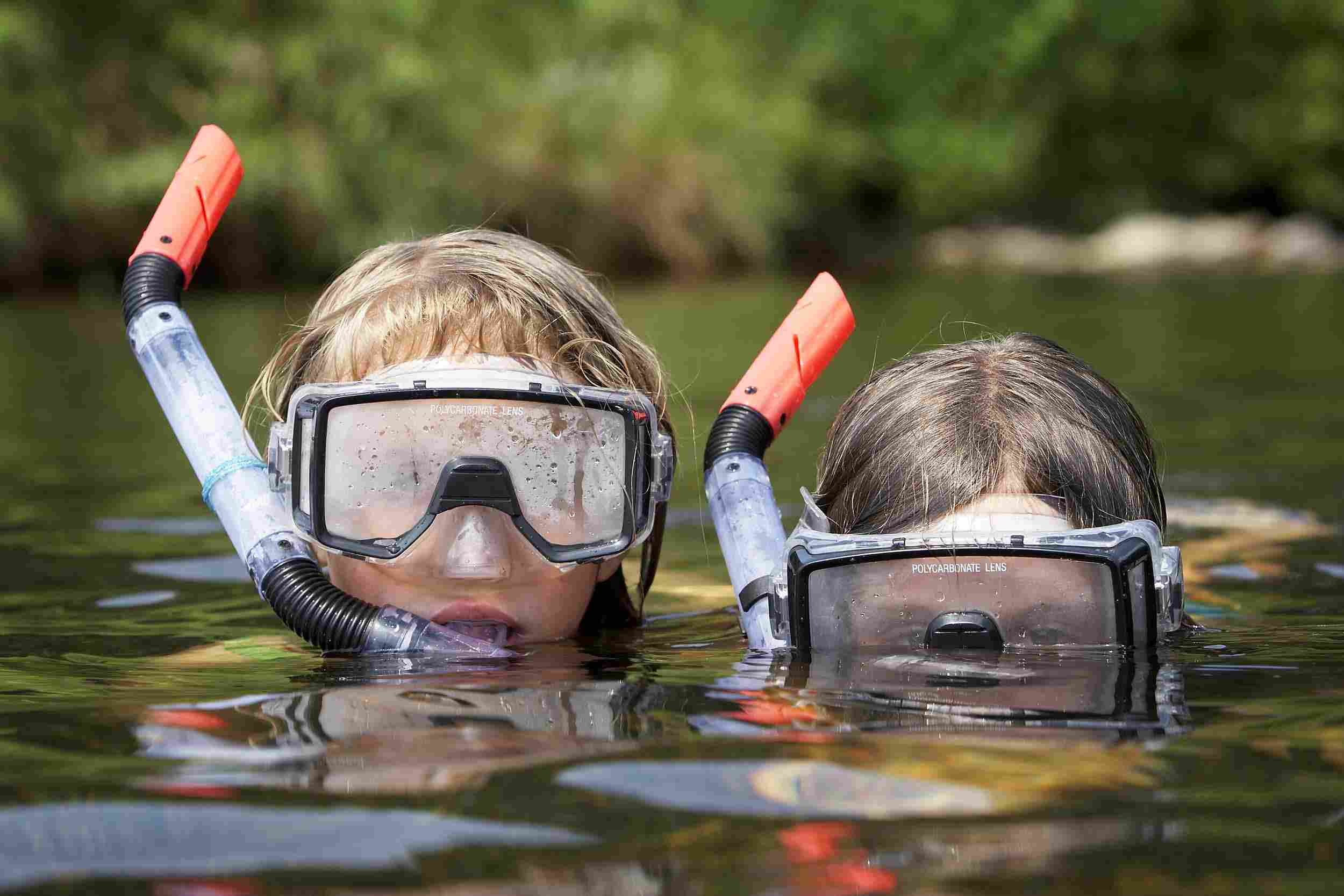 Swimming & diving classes